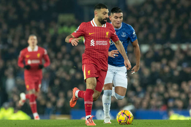 动的多样性 动的多样性